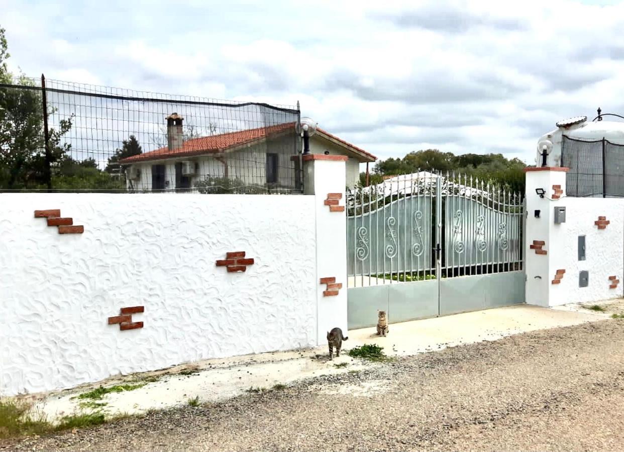 Apartamento La Maison Blanche Iglesias Exterior foto